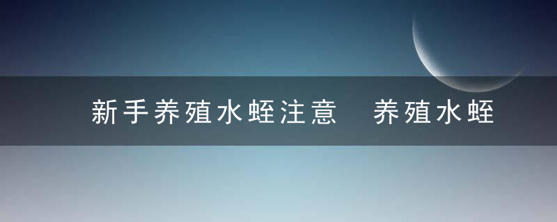 新手养殖水蛭注意 养殖水蛭需要注意什么